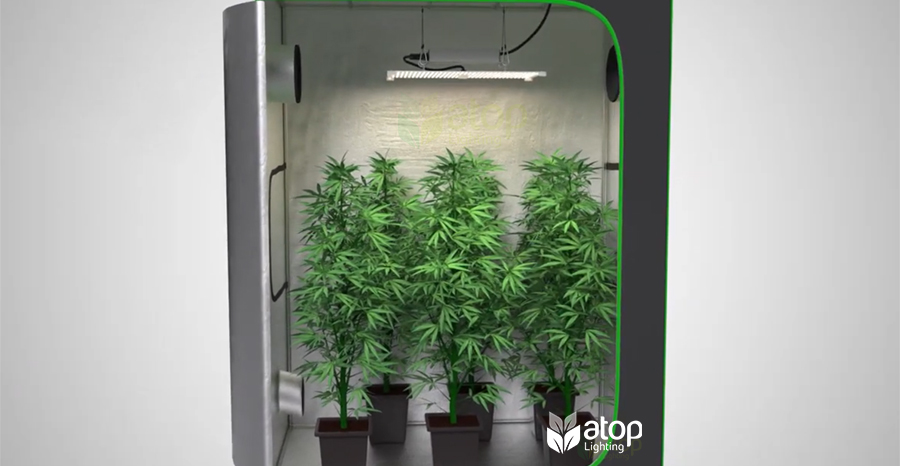 LED grow light for grow tent