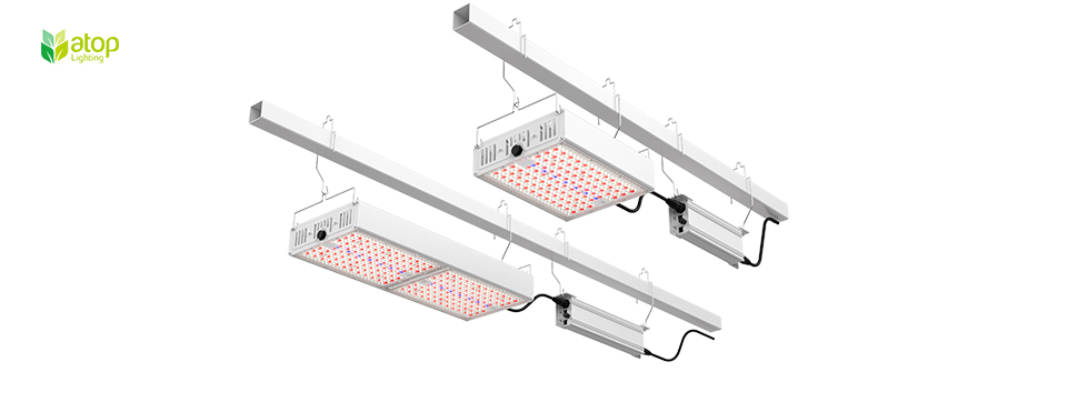 replacemen for HPS light LED top grow light