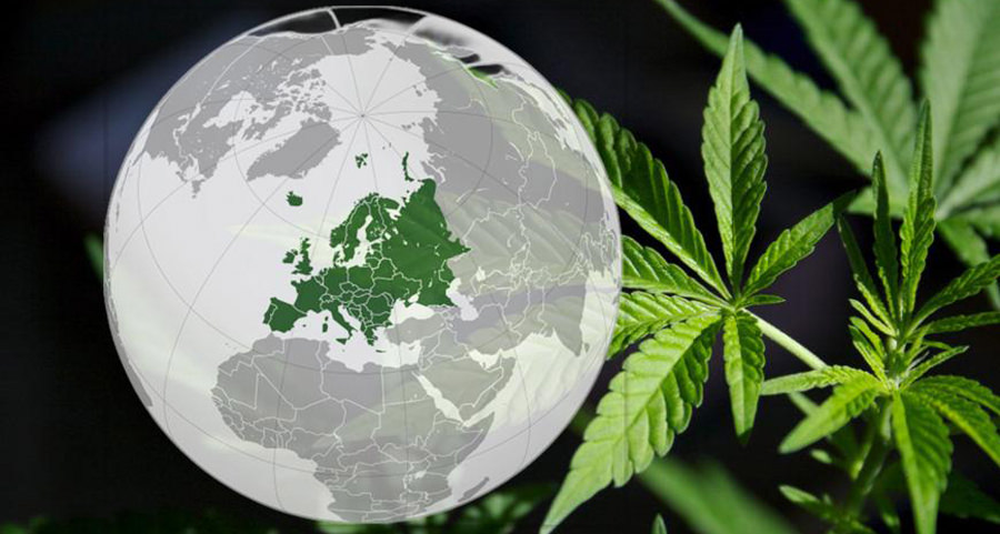 european medical cannabis