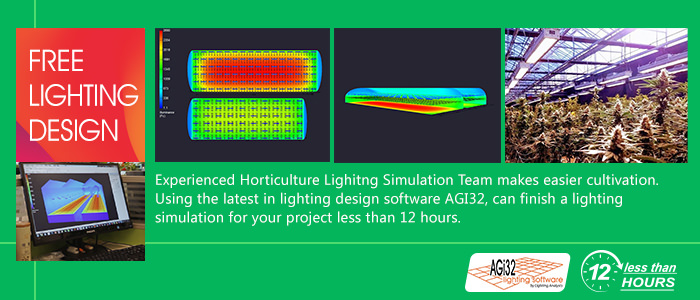 horticulture grow light free lighting design