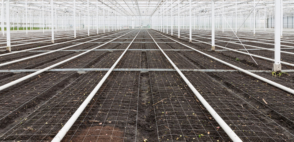 spring clean empty greenhouse