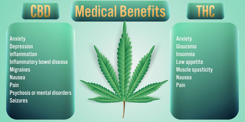 THC CBD Medical Benefits