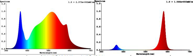 light spectrum increase tomatoes yield