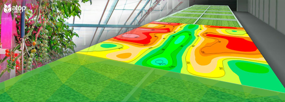 creat a light plan and simulation horticulture greenhouse