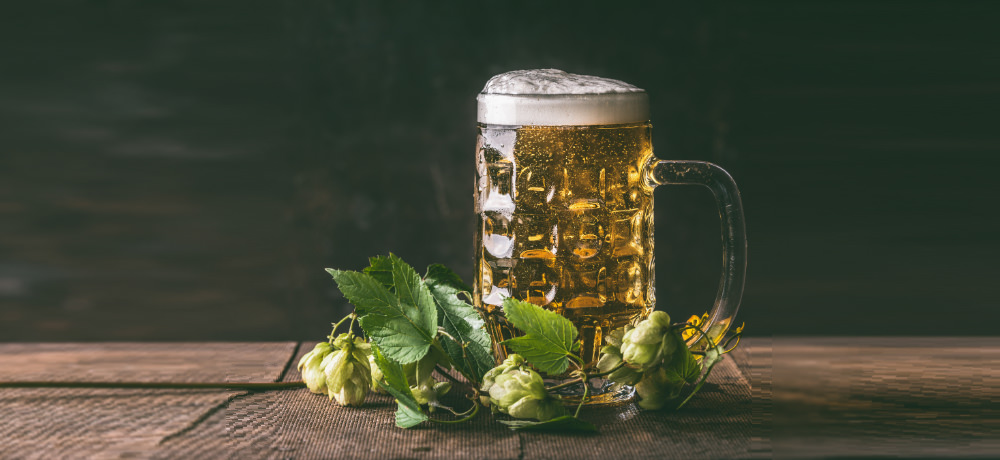 hops for brewing beer