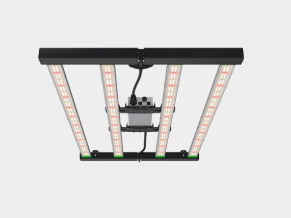 Veg stage LED grow light for cannabis