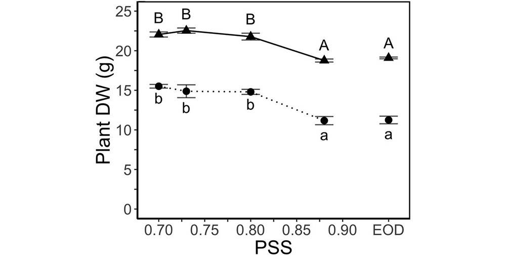 plant DW PSS content chart