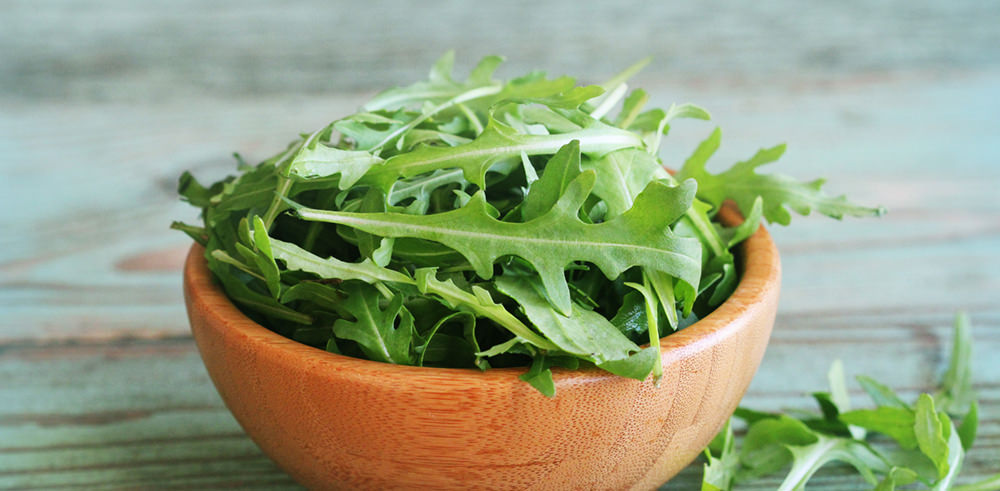 salad arugula