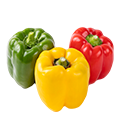 bell pepper