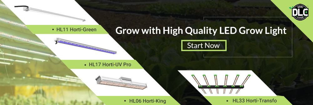 grow with high quality LED grow light