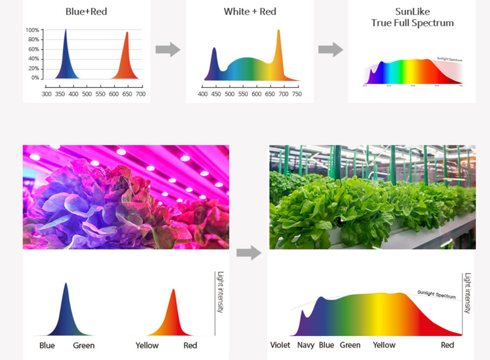 comparision of sunlight spectrum and red and blue spectrum