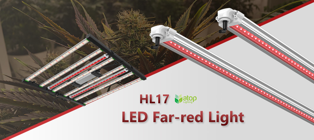 LED far red light HL17