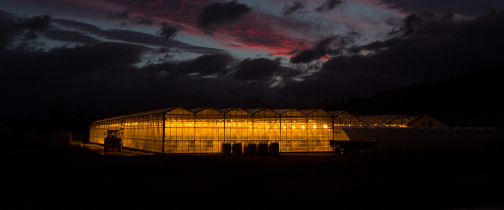 greenhouse night pollution