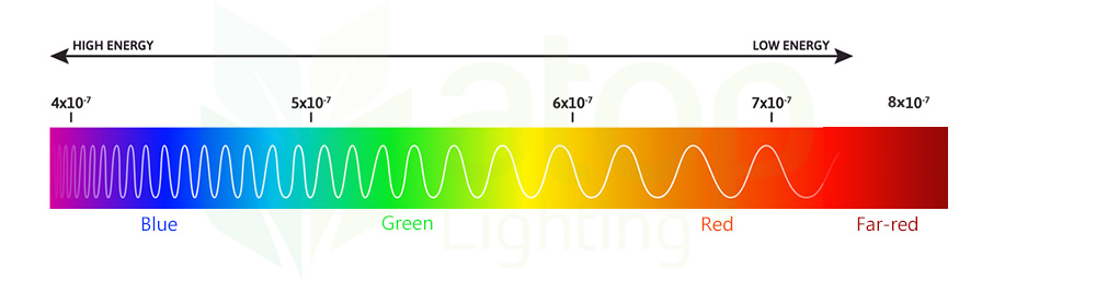 light spectrum