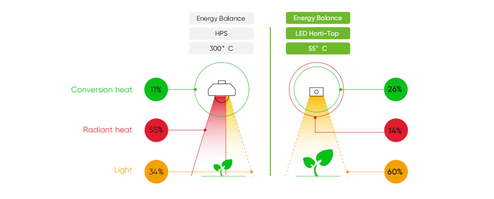 heat comparison between HPS and LED lights for plants