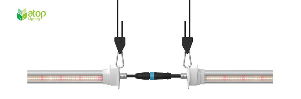 inter lighting daisy chain of LED grow lights