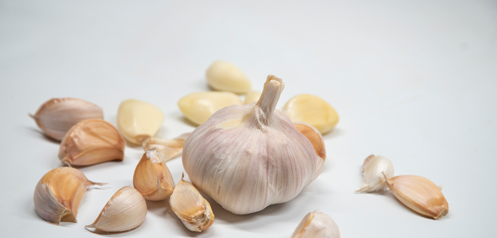 garlic