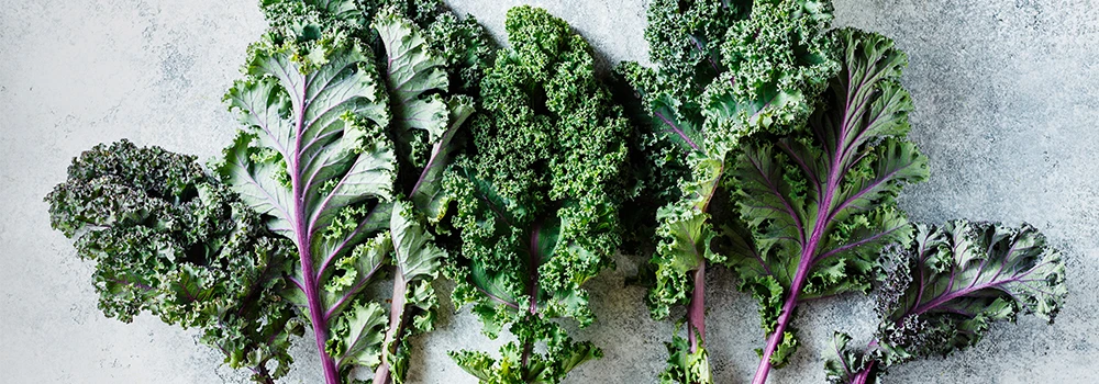 green leaf and purple stem kale