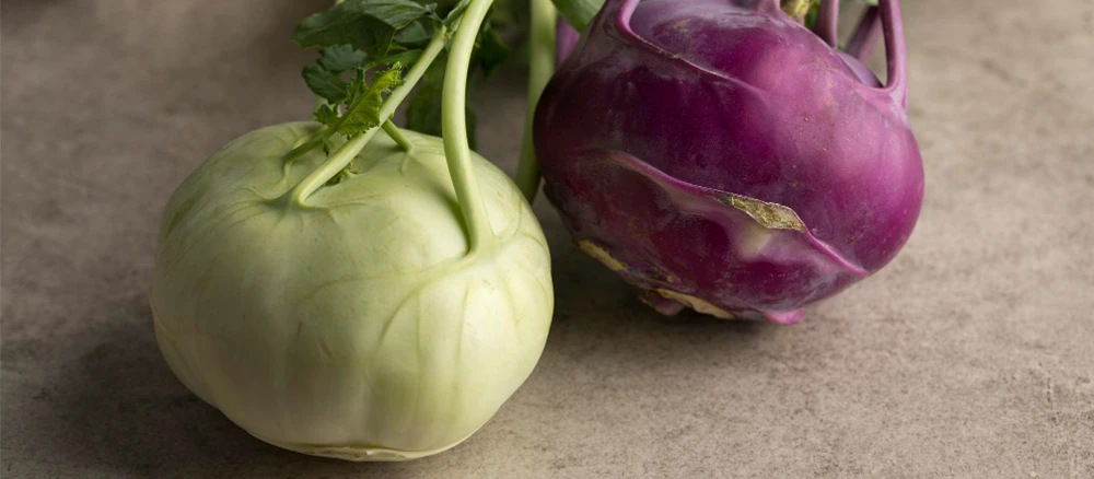 green white and purple Kohlrabi