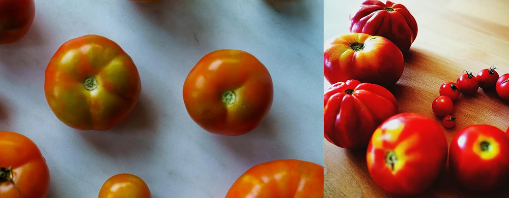 uneven tomato color yellow shoulder of tomatoes
