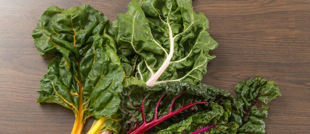 colorful Swiss chard for salad
