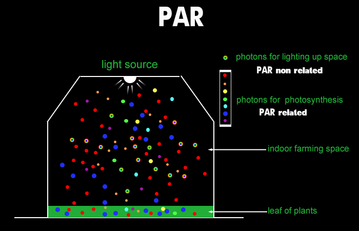 PAR calculation range