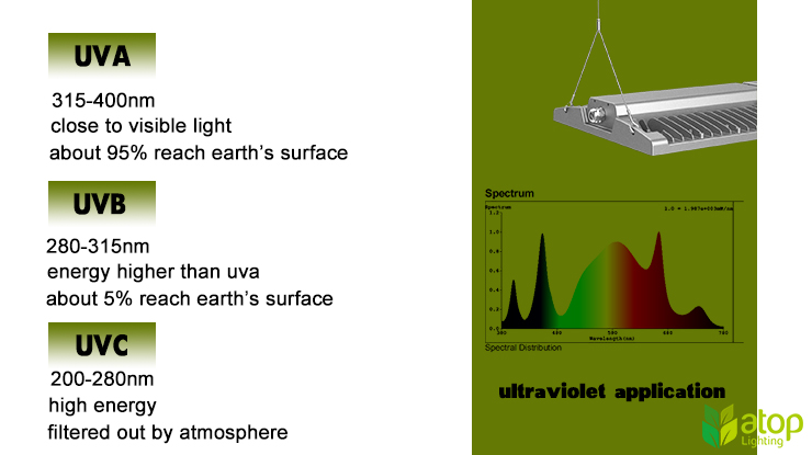 The Reasons for Including UVA and UVB in LED Grow Light