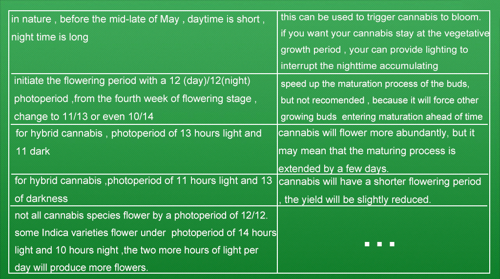 cannabis growing study under artificial light02