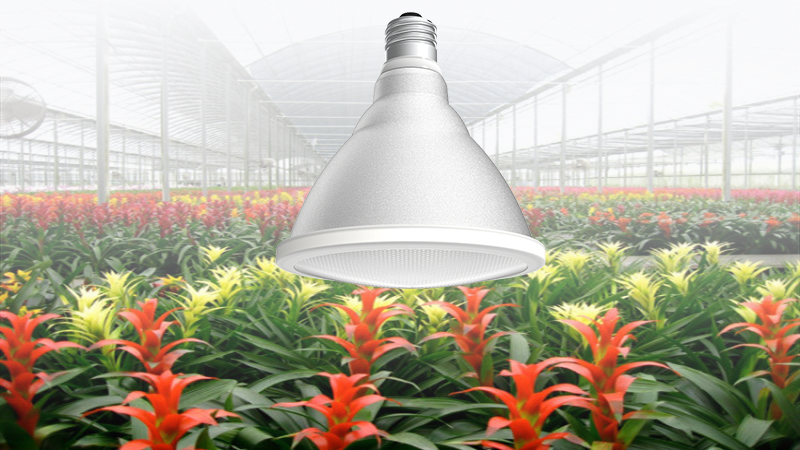 floriculture grow light