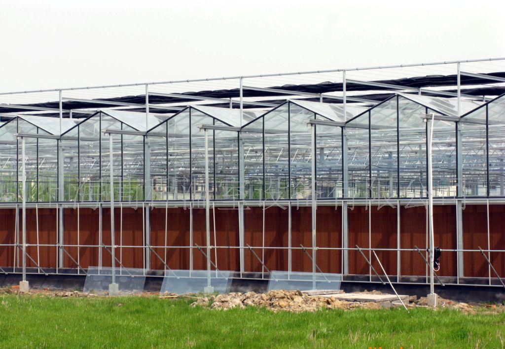 greenhouse