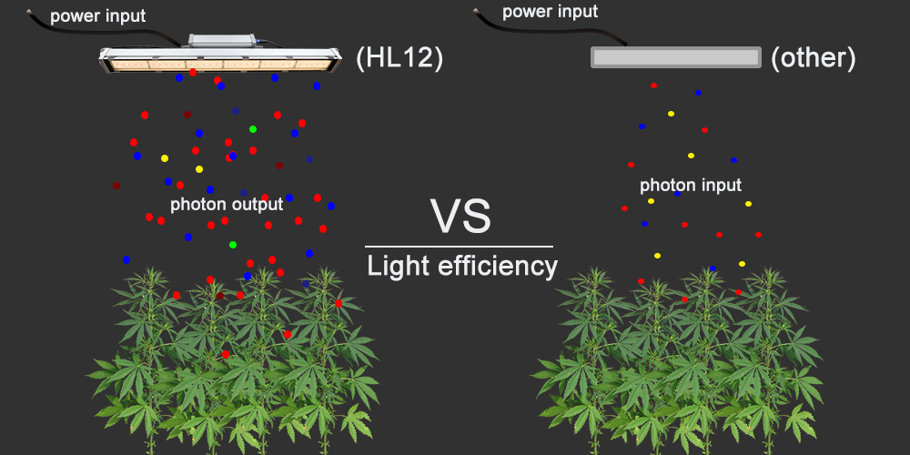 How to Choose a Grow Light