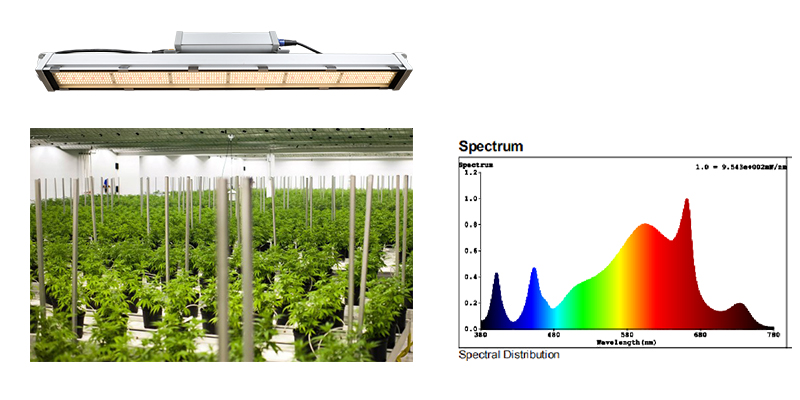 including far red to led grow light