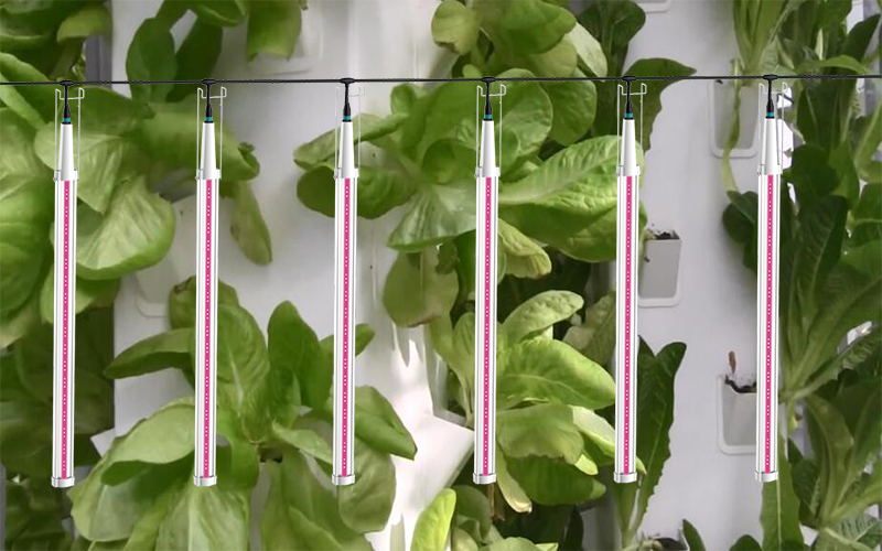 Indoor Hydroponic Tower LED Grow Light Selection - Lighting