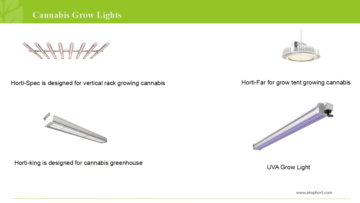 led grow light