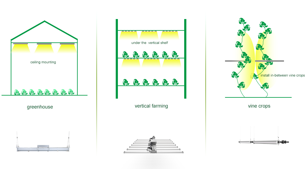 led grow lights for three common planting frameworks.