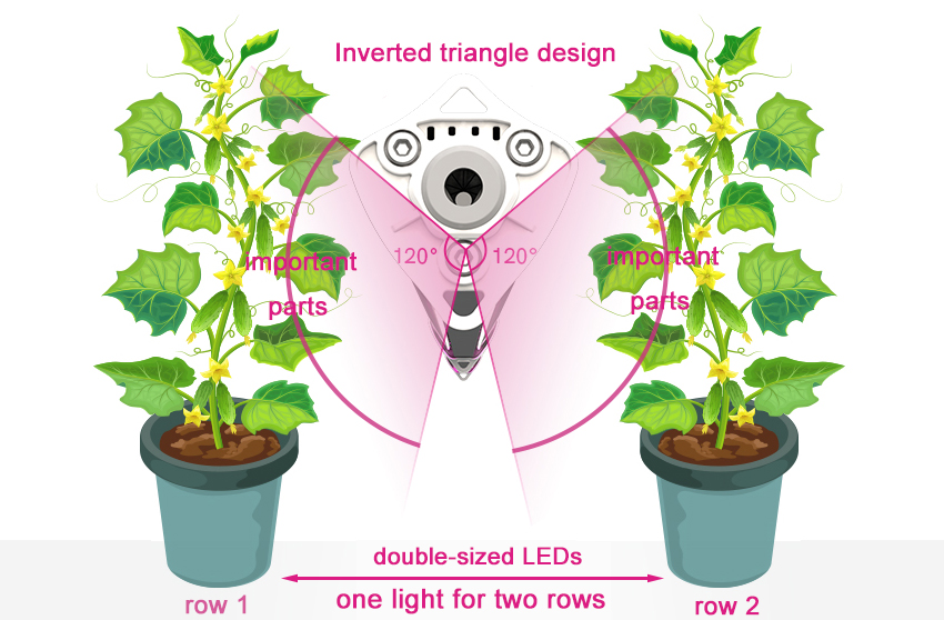 standout led interlighting for vine crops