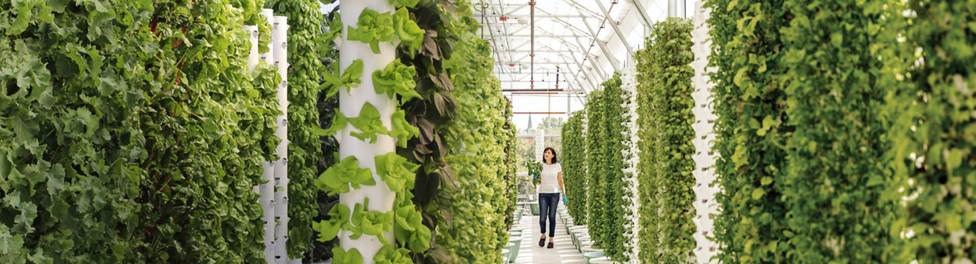 Vertical Hydroponic Tower