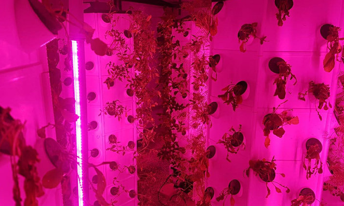 vertical growing platform grow light