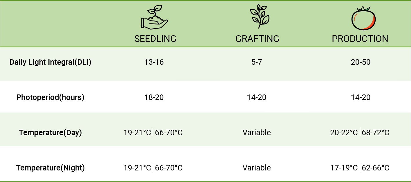 LED Grow Lighting Requirements for Tomatoes 