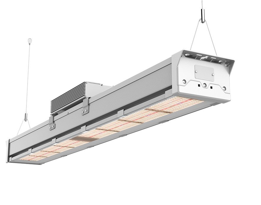 300W 600W Top Lighting