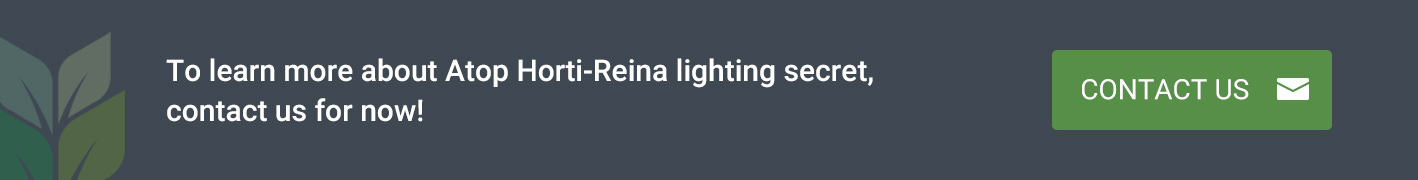 Advantageous Inter Lighting Atop Horti Reina contact