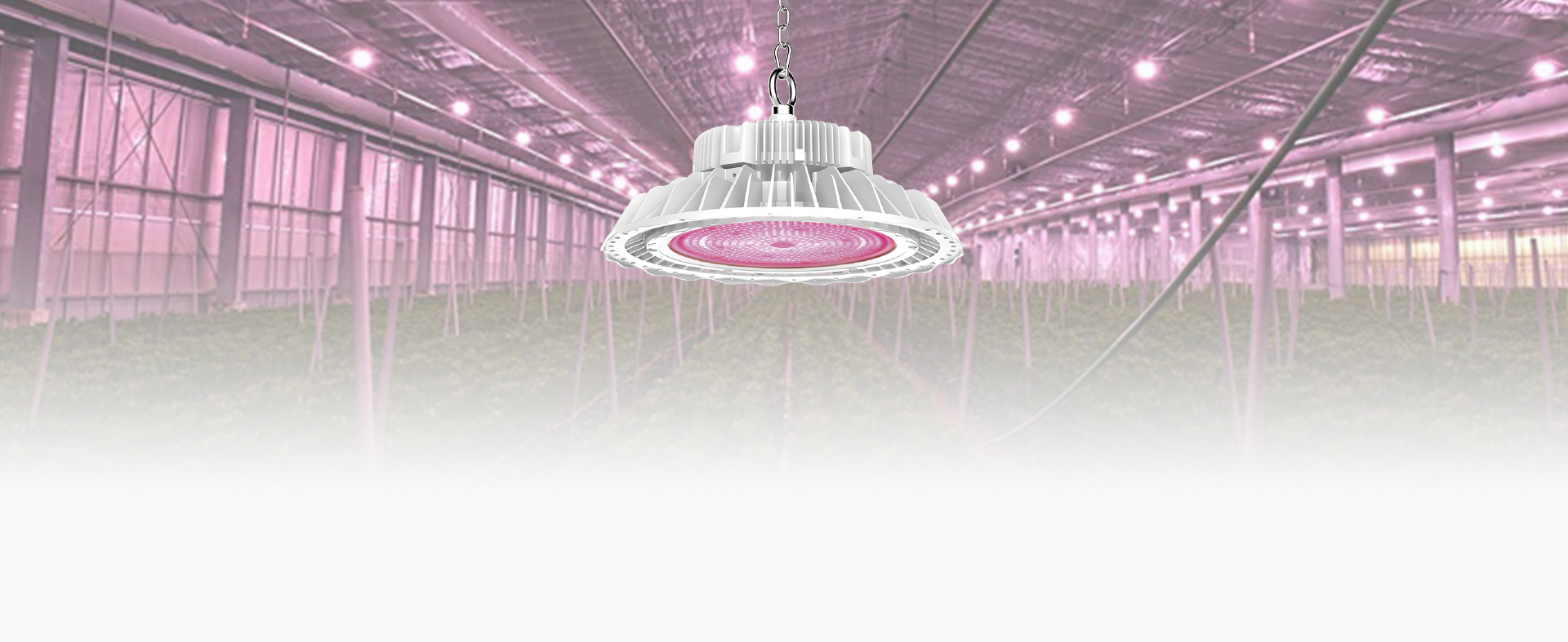 HB01 Horti Cloud LED Grow Light for Indoor Greenhouse Farm