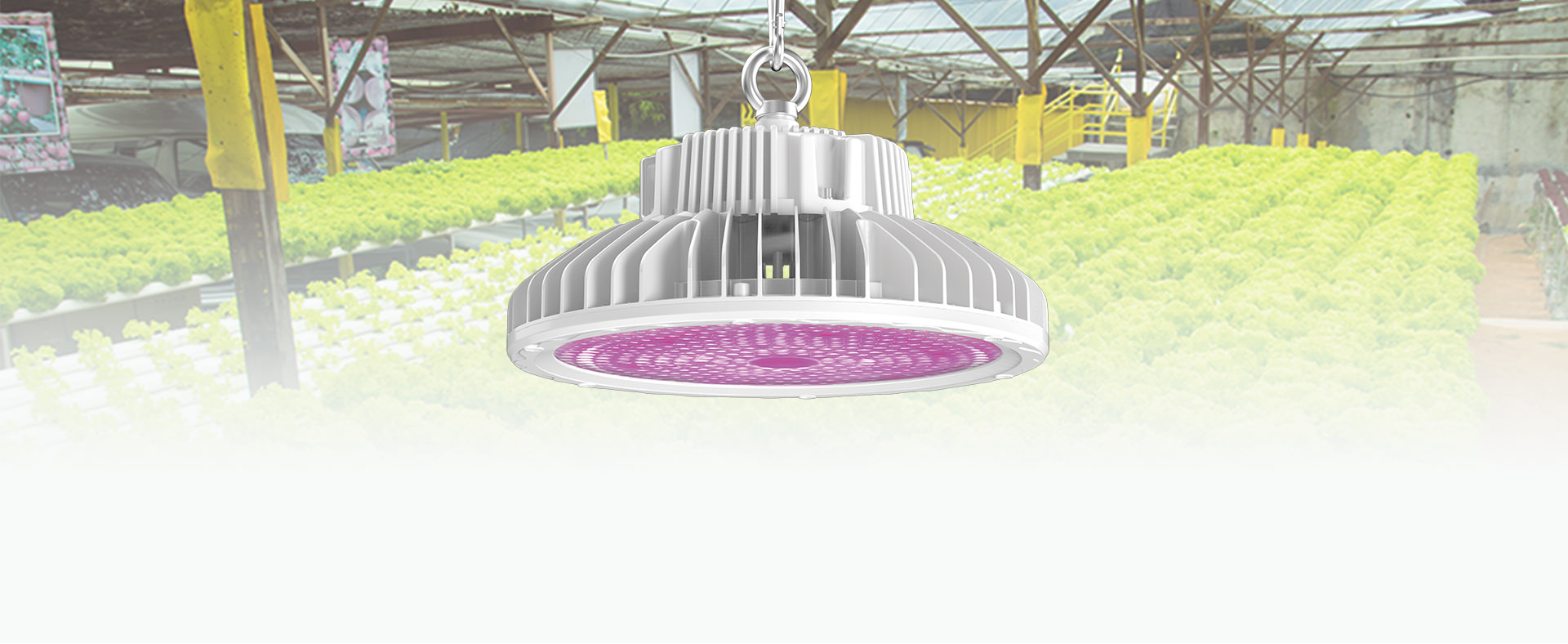 HB12 Horti Pro LED Grow Light for Greenhouse and Indoor Farm