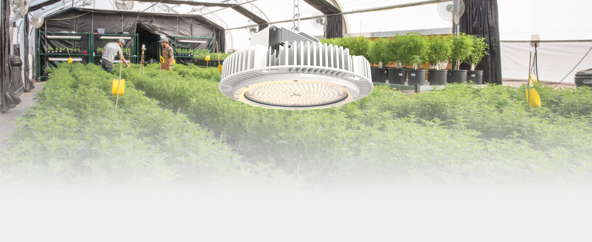 Horti Far LED Grow Light for Indoor farms and Grow