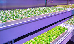 commercial led grow lights manufacturer Research