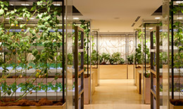 indoor farming lighting for Urban farming 