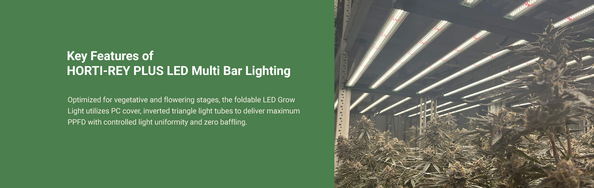 BHL02 HORTI REY PLUS LED Multi Bar Lighting_02