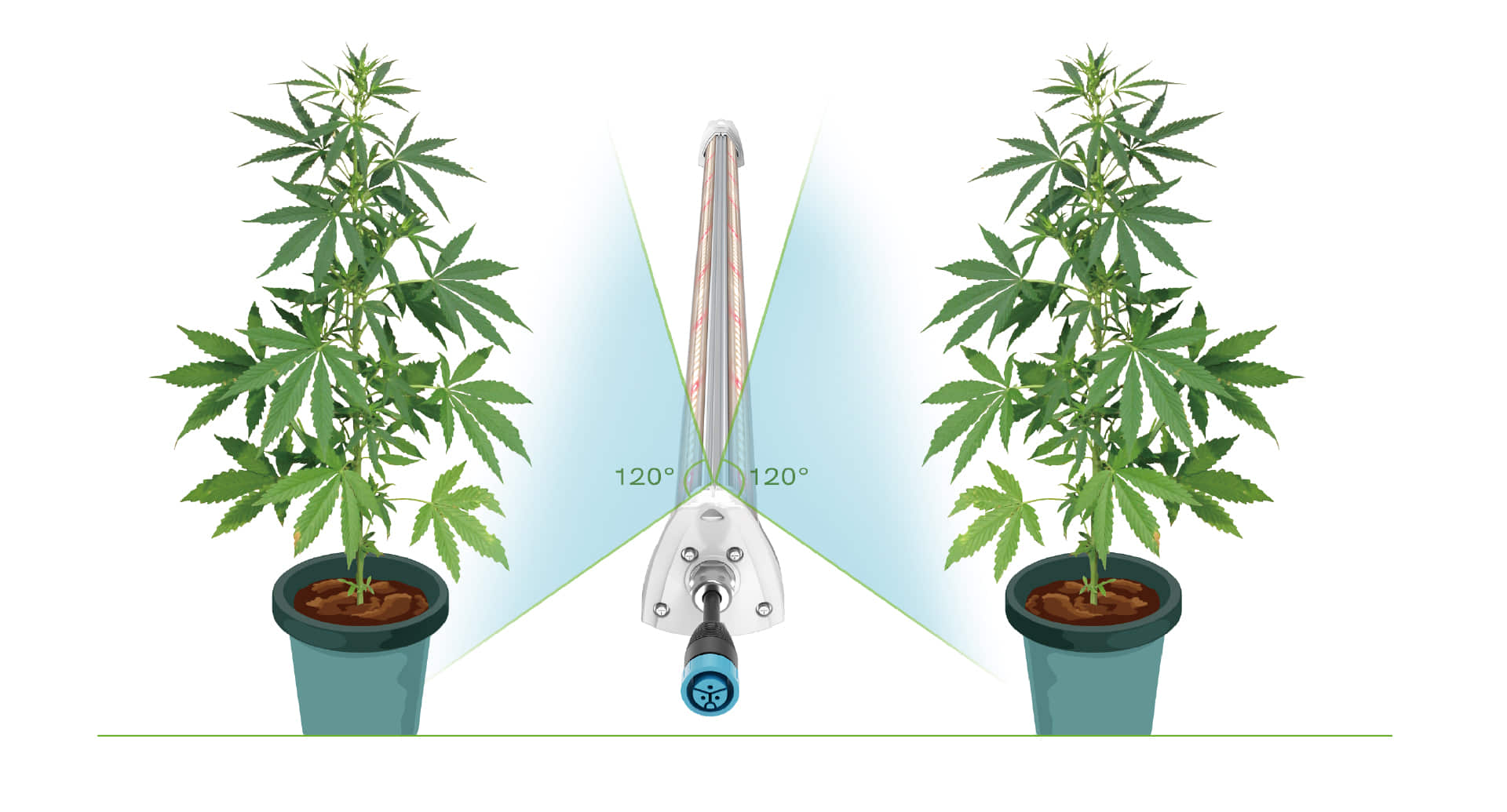 HL03 LED grow light for cannabis