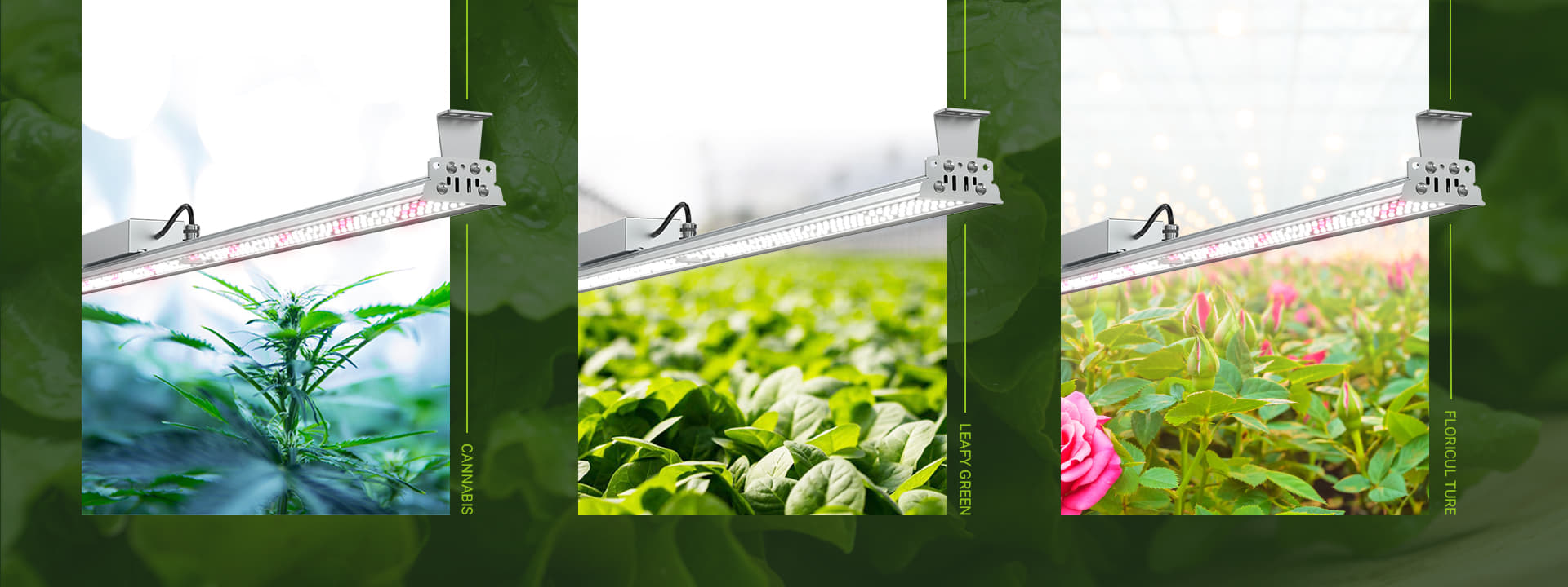 HORTI-SKY LED Grow Light applications banner