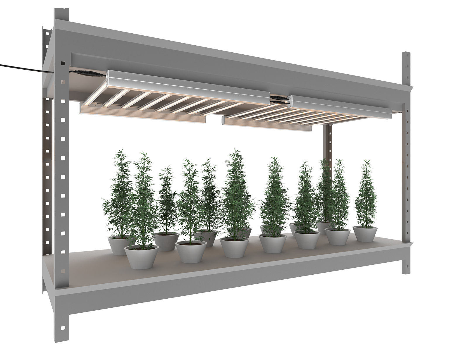 HORTI REY LED Grow Lighting